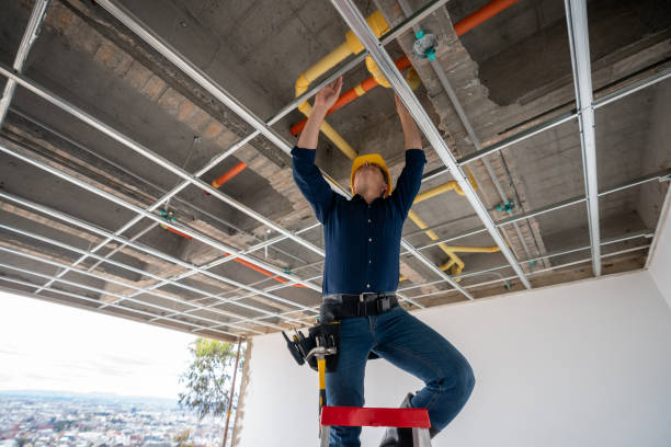 Best Affordable Plumbing Services  in St Louis, MI